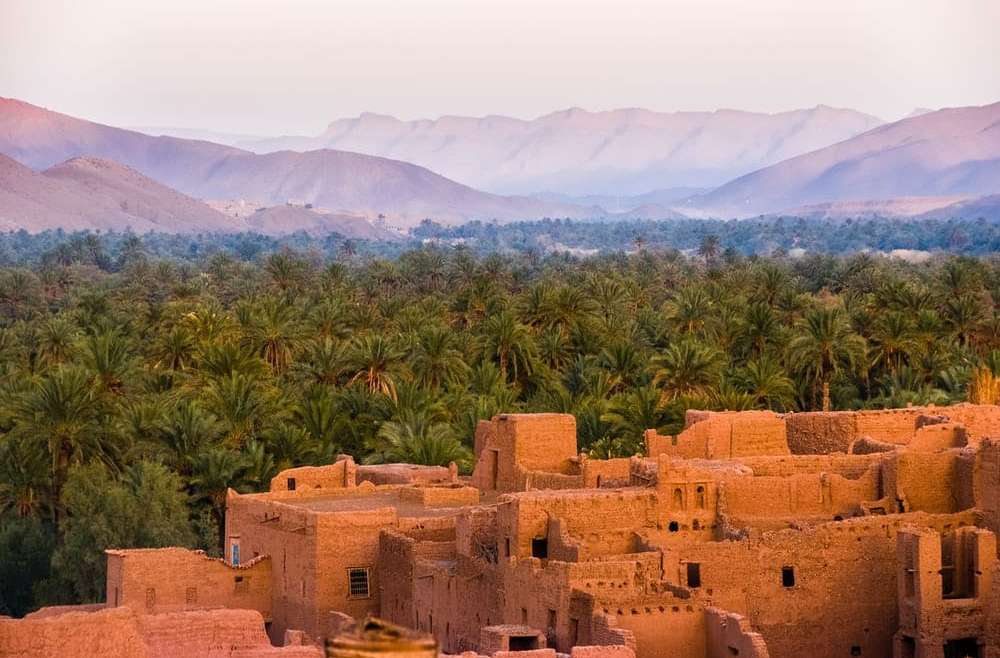 Biography of Saḥnūn (d. 240h)