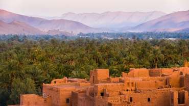 Biography of Saḥnūn (d. 240h)