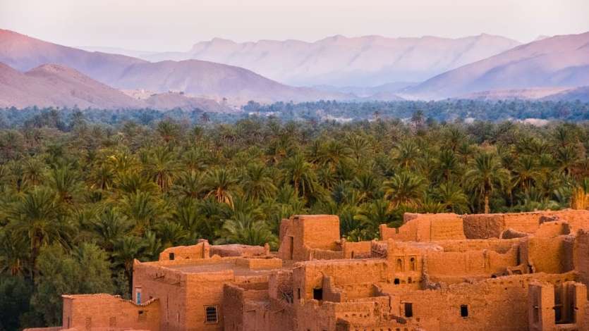 Biography of Saḥnūn (d. 240h)