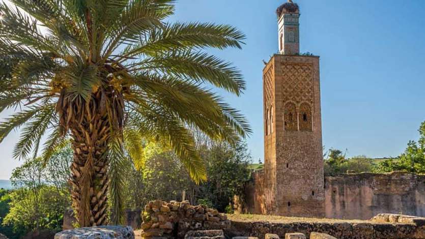 The Term al-Tawḥīd Was Used by the Salaf and From Them Mālik
